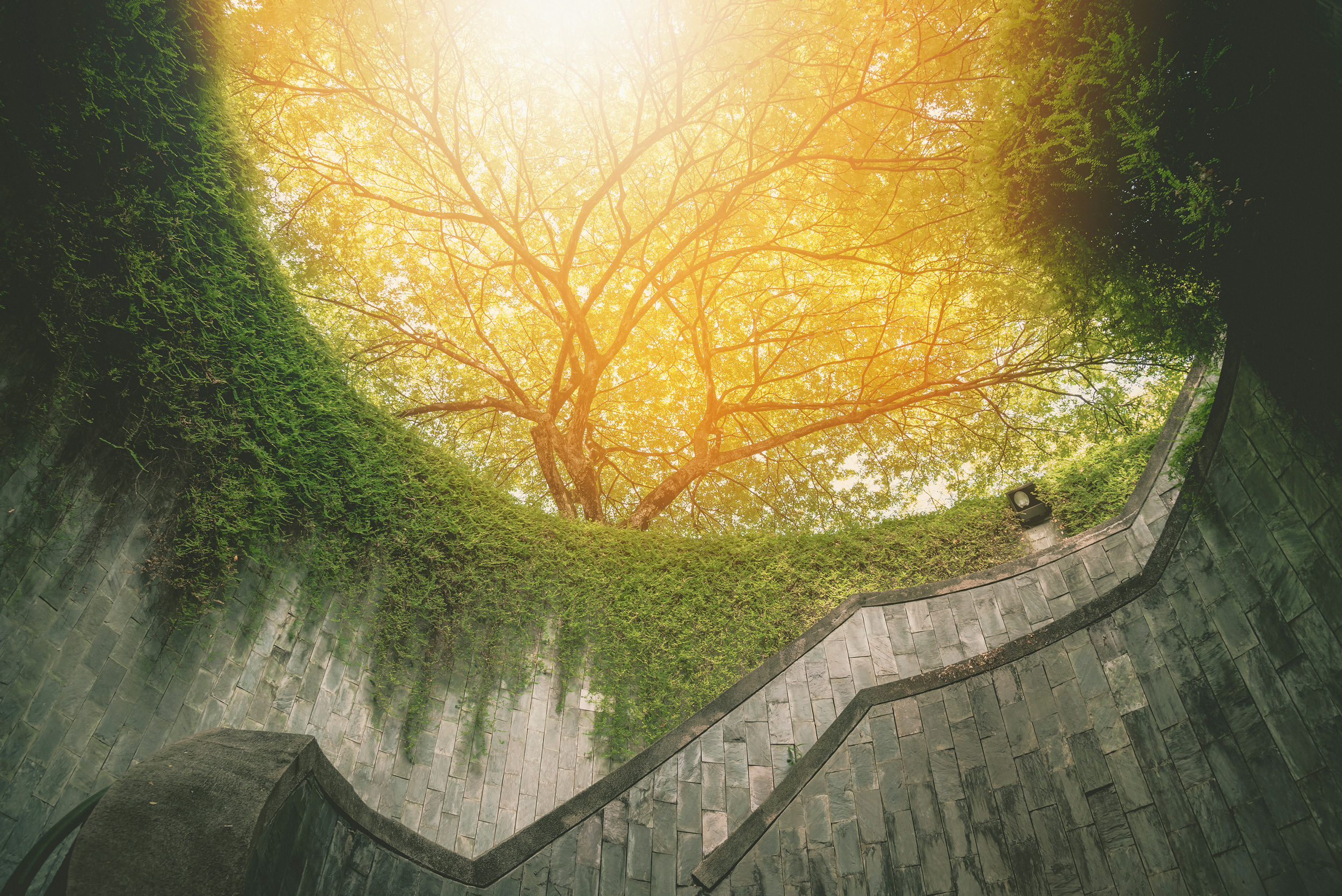 shutterstock_563972731